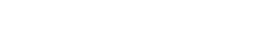 Intellectual Property Authority